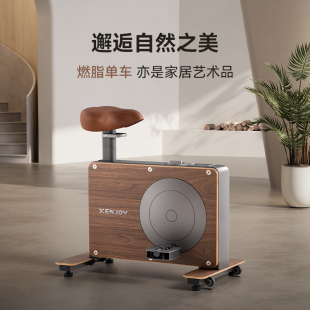 ◉ Little Wooden Horse Spinning Bike Home Model Small Indoor Silent Sports Gym Equipment for Weight Loss