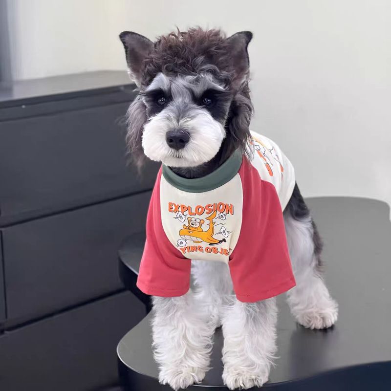 犬服新しい夏のペット夏カラーマッチングハンバーガーシュナウザーテディ小型犬ペット用品服|undefined