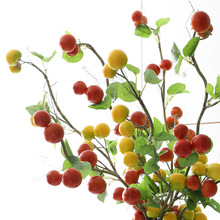 ������������ٗl������J �����Ϲϴ��������S���ٗl�������