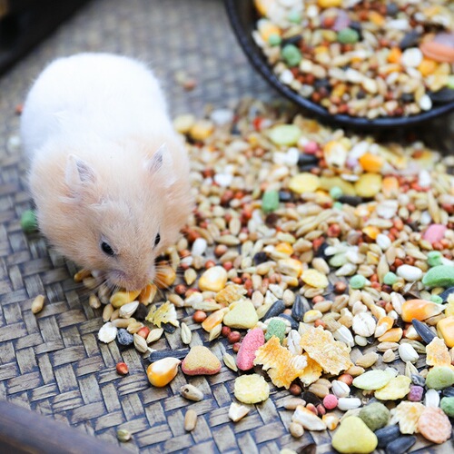 Pet calf bulk grain hamster grain hamster feed flowery rat grain hamster grain large discount 150 grams