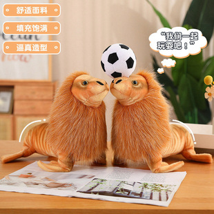 �羳��ż���溣�{����ë�q��߹��к��󹫈@�o��Ʒ��ż��ͯ�Y��