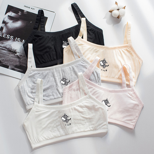 Growth period small vest female student underwear primary and junior high school students 16-year-old girl bra girl innerwear bustier agency 