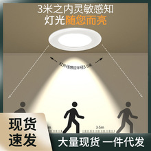 声光控人体感应筒灯led嵌入式天花板灯家用智能玄关过道走廊射灯