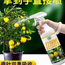 柠檬树肥料肥免稀释营养液生根家盆景栽喜酸性绿植通用型肥料