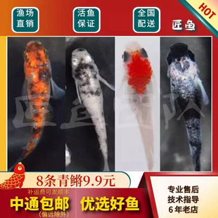 �^�����F ��ˮ�~�^�p�~ ħ���~  С���~�\�� �~�� ���w ����