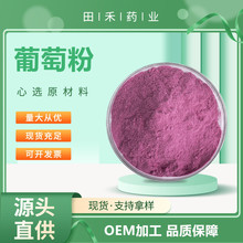 葡萄粉99%食品级原料 量大从优 田禾源头商家 实力工厂 水溶果粉
