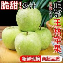 �S�ҹ������������O���������rˮ������4.5����ɭ�G�O������ˮ��