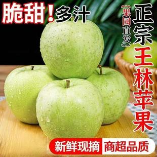 �S�ҹ������������O���������rˮ������4.5����ɭ�G�O������ˮ��