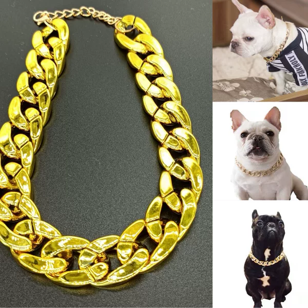 Pet Necklace Fadou Teddy Bug Dog Bully Gold Chain Small and Medium Dog Collar Accessories