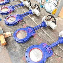 ��ˮ�Д�늄ӵ����l�y ��ͨ�_�P�ͷ��m����y PZ973H-16C DN200