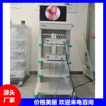 采耳设备 采耳仪器 源头厂家