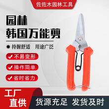 �n�������P��f�ܼ��������~�z�X�����FƤ���f����Ӽ��n���f�ܼ�