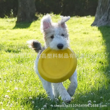 EVA������߱�����w�P��ҧ�����ҧ����ĥ�����������Ȯ ���h