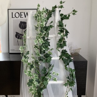 ���l�����ٗl1.8�׳����� ����ֲ����ɽ���@��ֲ�����Gֲ�쾰