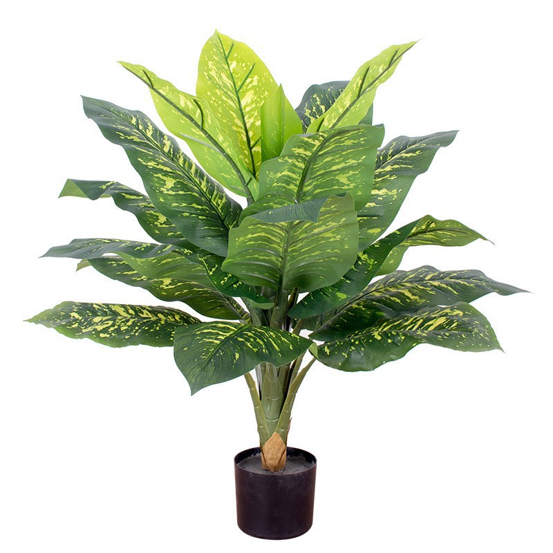 Simulación de paisajismo de interior Planta en maceta Evergreen Simulación de planta de follaje de interior Planta verde Evergreen con maceta image 7
