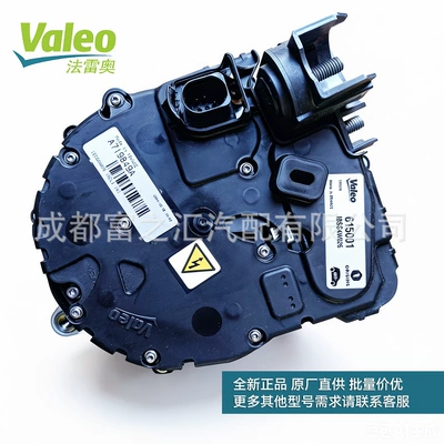 Valeo 48V Car Generatorlar hissələri (Dinamo və detalları)