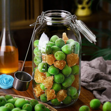 泡酒玻璃瓶果酒瓶酿酒杨梅酒坛子10斤密封罐子青梅酒容器