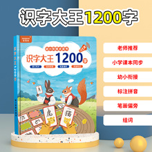 识字大王1200字点读书老师推荐一年级同步幼儿识字点读发音书