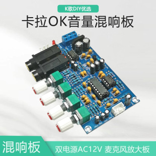PT2399 Karaoke Reverberation Microphone Microphone Amplifier Board K Song Singing Amplifier Power Amplifier Module Front Panel HD 20W