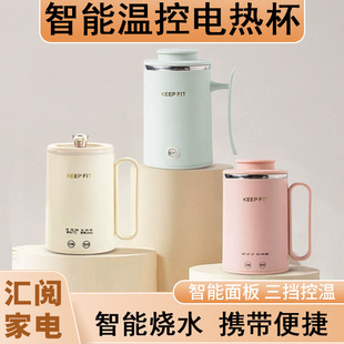 Large-Capacity Household Insulated Hot Water Kettle Electric Water Kettle Small Portable Travel Electric Water Cup
