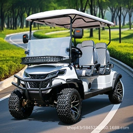 高尔夫球车;电动观光车