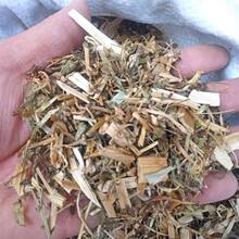 Ұɽ��؛ʯ����ˮ�S����Ұ�۲˺��в�ˮ��̦������ˮ�۲���؛��؛