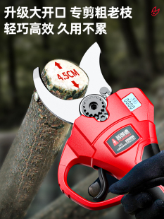 늄Ӽ֦ʽ֦늼@ˇ֦늼Ӽ֦