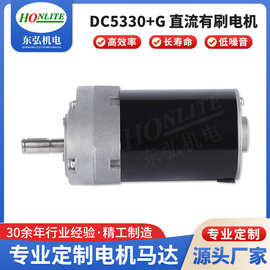DC5330+G有刷直流电机适用于自动窗帘电机汽车雨刮器直流减速马达