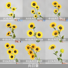 ?���Ļ����տ�̫��������Ҿ�С�ѻ��ٻ������쾰װ�β�