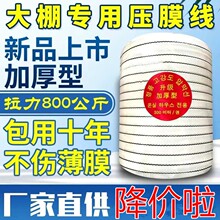 ����É�Ĥ���������Ӵּӌ����o�����ϻ����ҼӺ������ɫ�l��