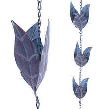 ��ˮ�ռ����ˮ�������m��춷��ݻ��@�ͼ�ͥ,�~�����ͥԺ����