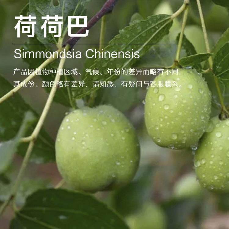 ��ɫ�ɺɰ��� �������� ѹե��ȡ ������ԭ������  ��ӭ�ɹ�