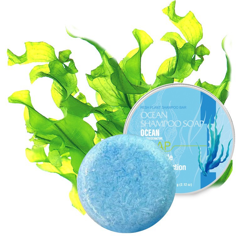 Transfronterizo polygonum jengibre champú jabón inglés champú jabón aceite esencial hombre jabón mano fábrica al por mayor en stock al por mayor