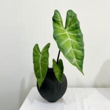 ꖷֲ~PUָдѿ~GZ~c@־Ƶb[ٻ