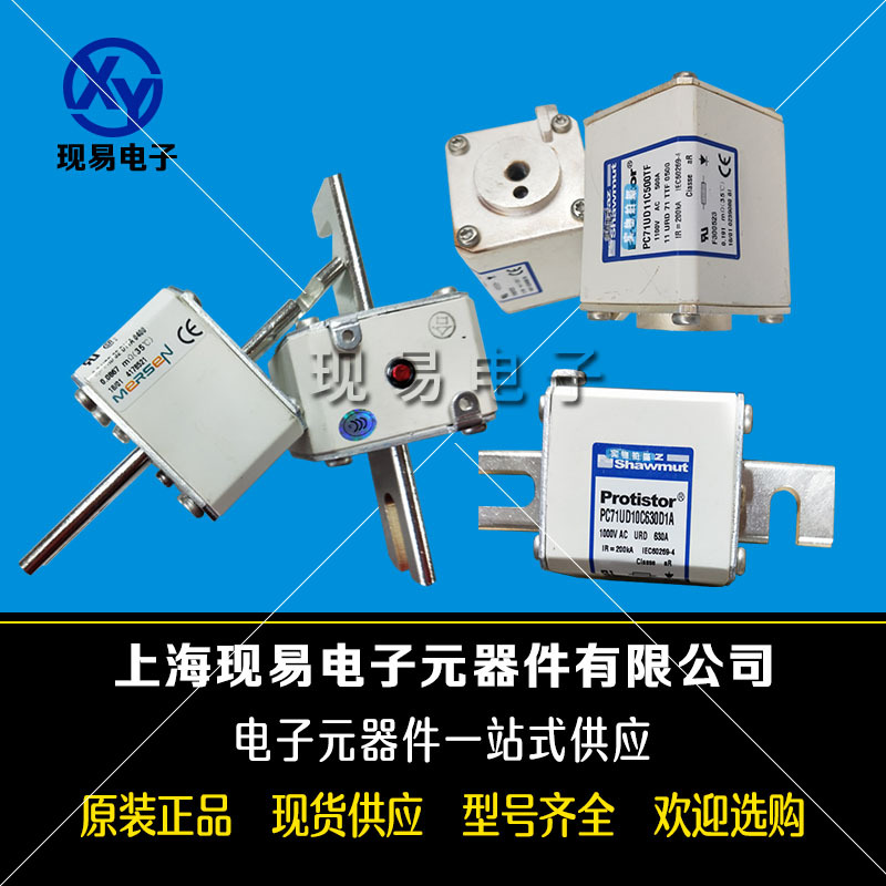 法国罗兰69GRB000D08L/010 69GRB000D08L/016熔断器 原装特价