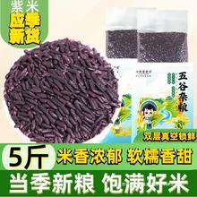 新紫米黑米五谷杂粮团煮粥墨江糯米做紫米5斤云南农家大米糙米饭