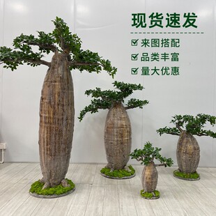 ������������Դ��;Gֲ�҃��b���ؔ[���Ꭷ�쾰��ֲ������