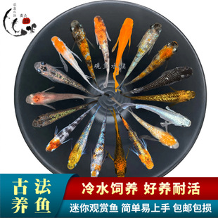 �^�����F�~�^�pС�͵�ˮ�~���������B�ͻ����B�׹ŷ��B�a���~���]