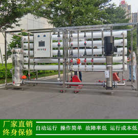 供应广西反渗透水处理设备养殖场用纯水设备20t/h单级反渗透系统