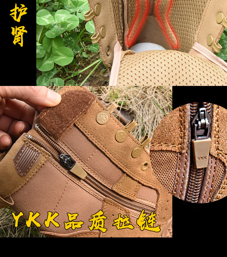 f4441952-ee18-4ae8-a5bd-1e92770c93e3.jpe