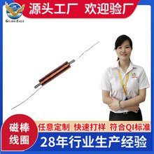 �S�Ҽӹ��t�����ܴŰ���Ȧ0.3X1.8 AM�쾀��ӹP�Б�늸йǼܾ�Ȧ