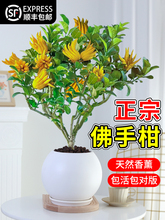 ֘ԎϘָr͏dֲ̨҃BܾGֲ