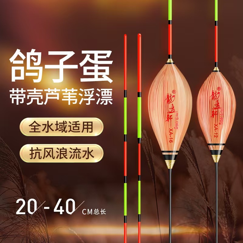 Pigeon eggs with shell reed floating silver carp and bighead carp floating wholesale floating high sensitive thick tail eye-catching crucian carp short floating in shallow water