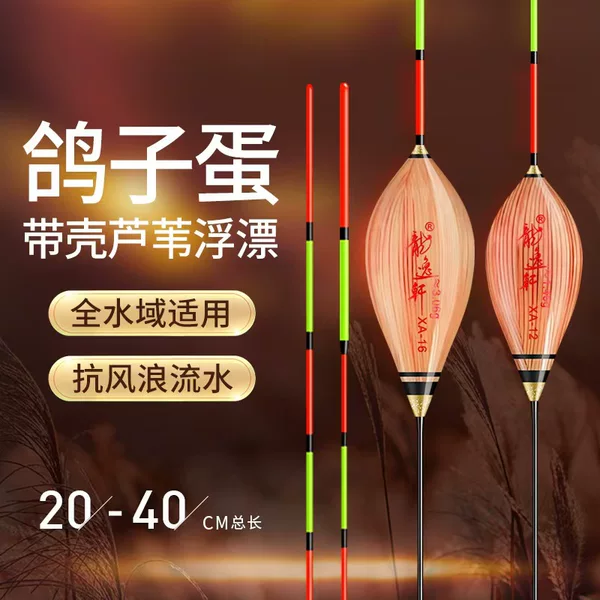 Pigeon eggs with shell reed floating silver carp and bighead carp floating wholesale floating high sensitive thick tail eye-catching crucian carp short floating in shallow water