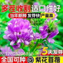 �M���ϻ���ޣ�N�Ӷ������߮a�G�ʷN����ؚ������u���Zţ���~����