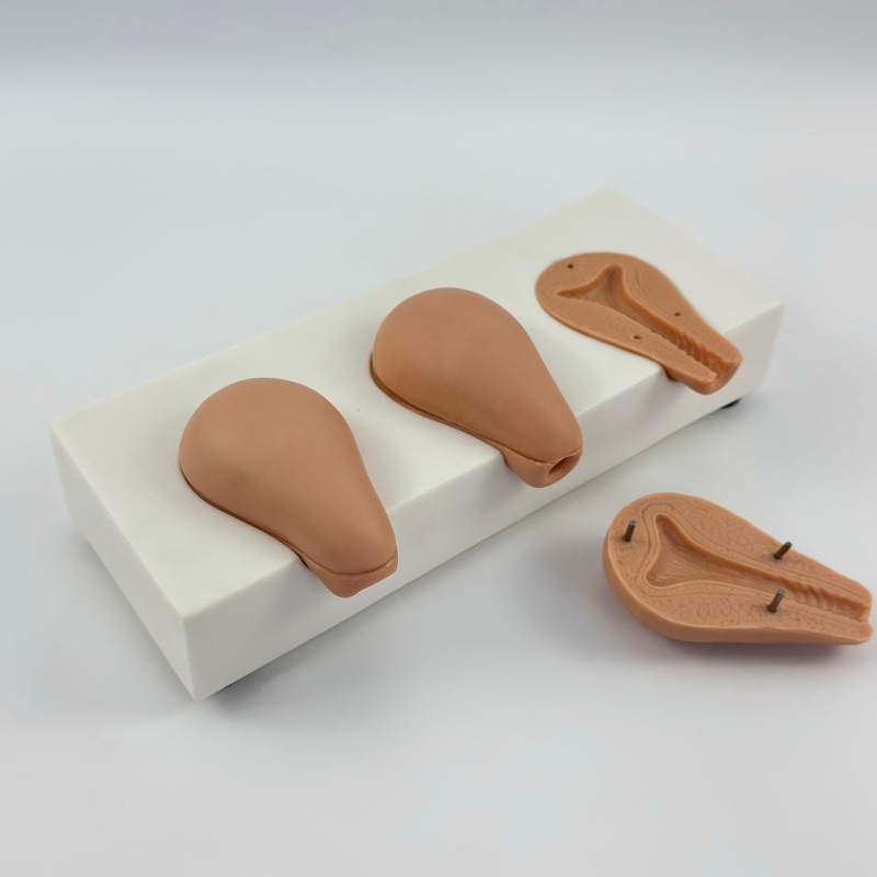 �߼��˹�����ģ���ӹ�ģ�� 3��ģ���ӹ����� ������ѵ���̾�FT33A