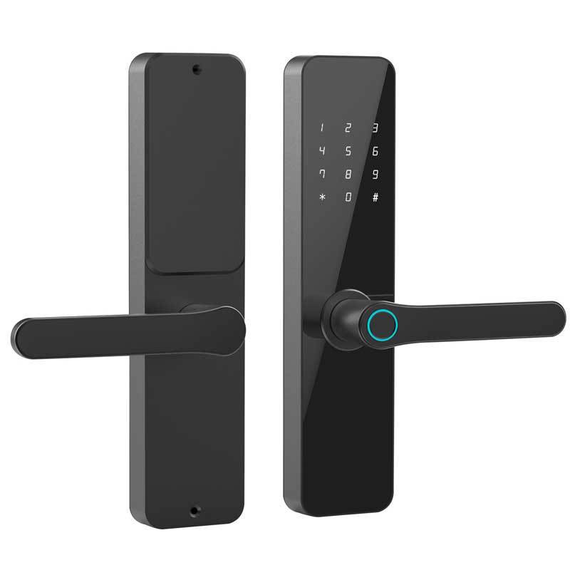 Puerta de madera cerradura TTLOCK ventilador solo apartamento cerradura de huella digital graffiti cerradura inteligente TUYA B & B alquiler contraseña bloqueo