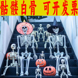 �f�}�����t�Ǽ� �������w���t�Ǽ� �bưɲ��ù���������Ó�[��