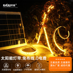 スマートな太陽のライトは屋外の防水の感応ledのソフトライトの庭の庭園の明るくなる雰囲気の24v線のライトを持っています。