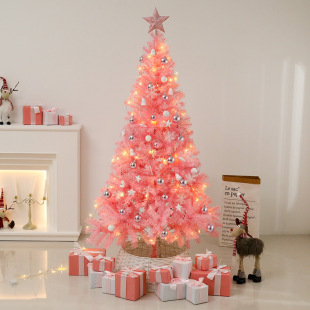 Christmas decoration tree Christmas tree suit package pink 1.5/1.8/2.1 m shopping mall decoration props